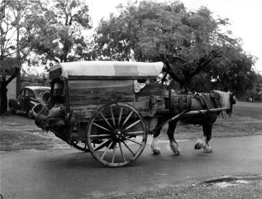 Chinese hawker's wagon (Battye Library 004644d)